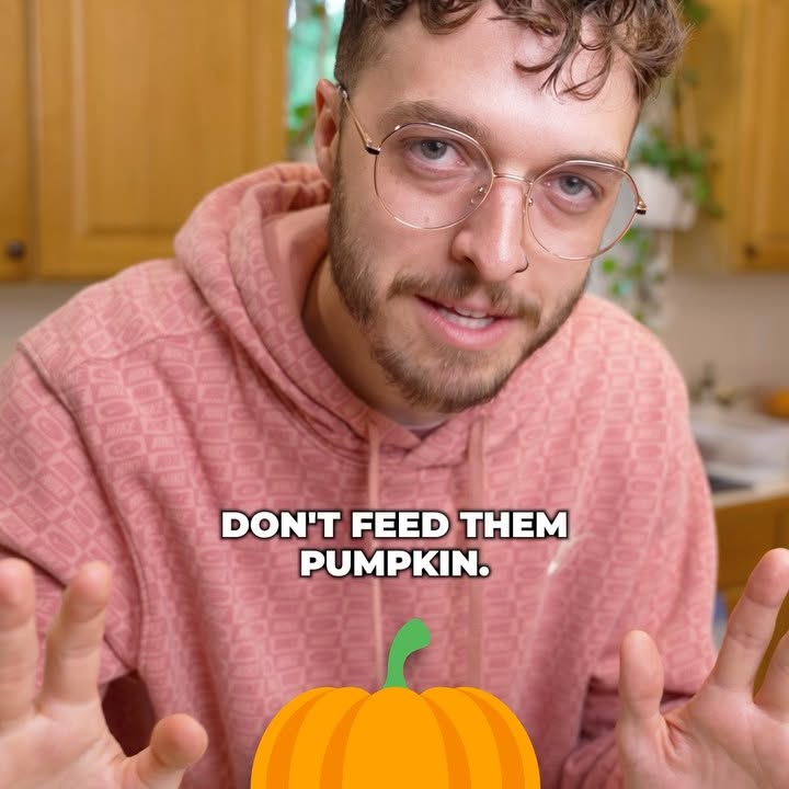 Instagram post by @thebkpets for Darwin's Natural Pet Products. Caption reads: Comment DARWIN (without the S) and we’ll send you....