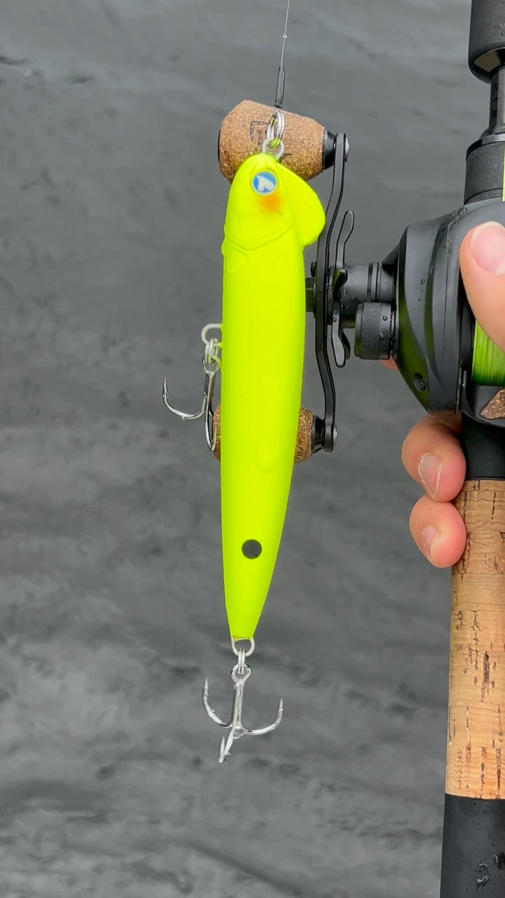 Instagram post by @charlies.fishing.official for BlueBlue Fishing. Caption reads: SNECON150S 😍 

The BlueBlue Snecon 150S features....