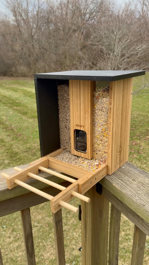 Instagram post by @chirpnook for Birdfy. Caption reads: [...] when you’re not home? 🐦 This feeder by....