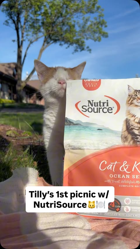 Instagram post by @tinytillytails for NutriSource Pet Foods. Caption reads: [...] favorite part (as always) was her....
