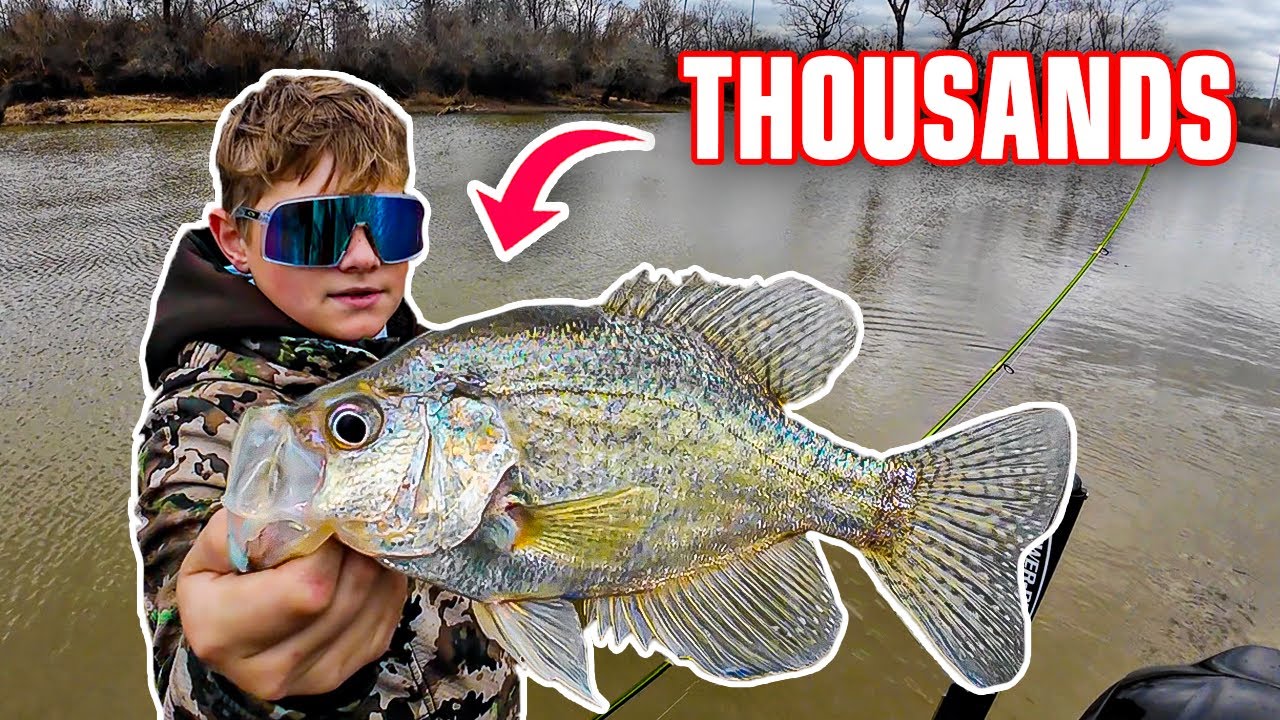 YouTube post by @903fishing for Piscifun. Caption reads: THOUSANDS OF CRAPPIE COME IN THIS CREEK EVERY....