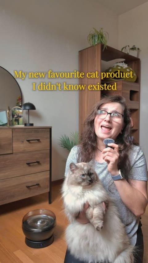 Instagram post by @hercozycrew for PetSafe. Caption reads: [...] or constant charging. Thankfully, @petsafe....
