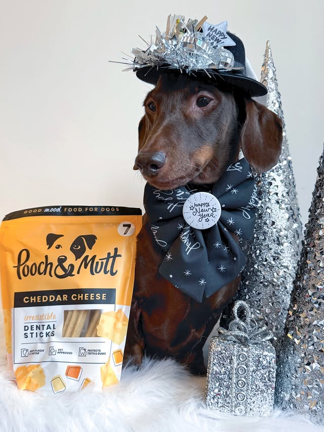 Instagram post by @frankie_dachshund03 for Pooch and Mutt. Caption reads: [...] Years Eve snacks sorted 😋 

@poochandmutt....
