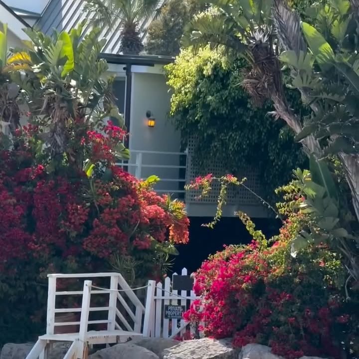 Instagram post by @unclejessiie for Safilo Group. Caption reads: summer days in malibu  🤍 @marcjacobs @safilogroup....