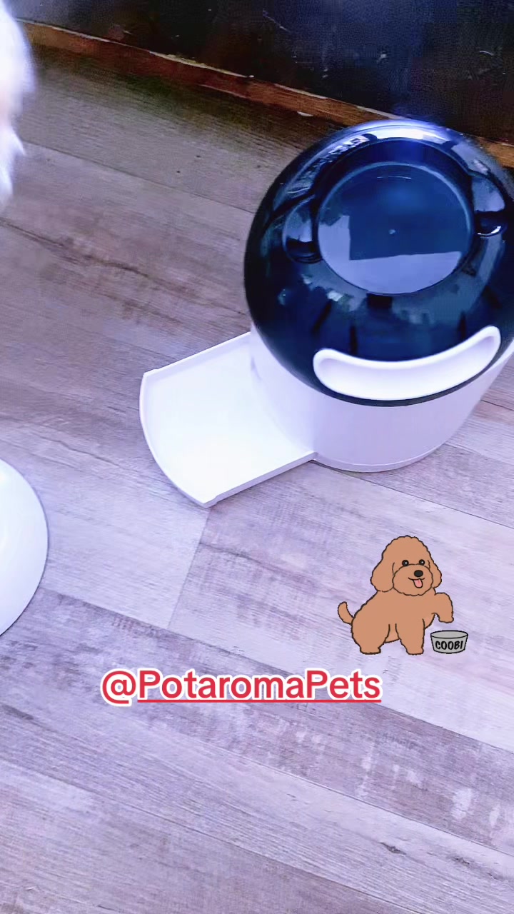 TikTok post by @heidylisseth6 for Potaroma. Caption reads: Potaroma Pet Puzzle Feeder Toy #fypツ [...].
