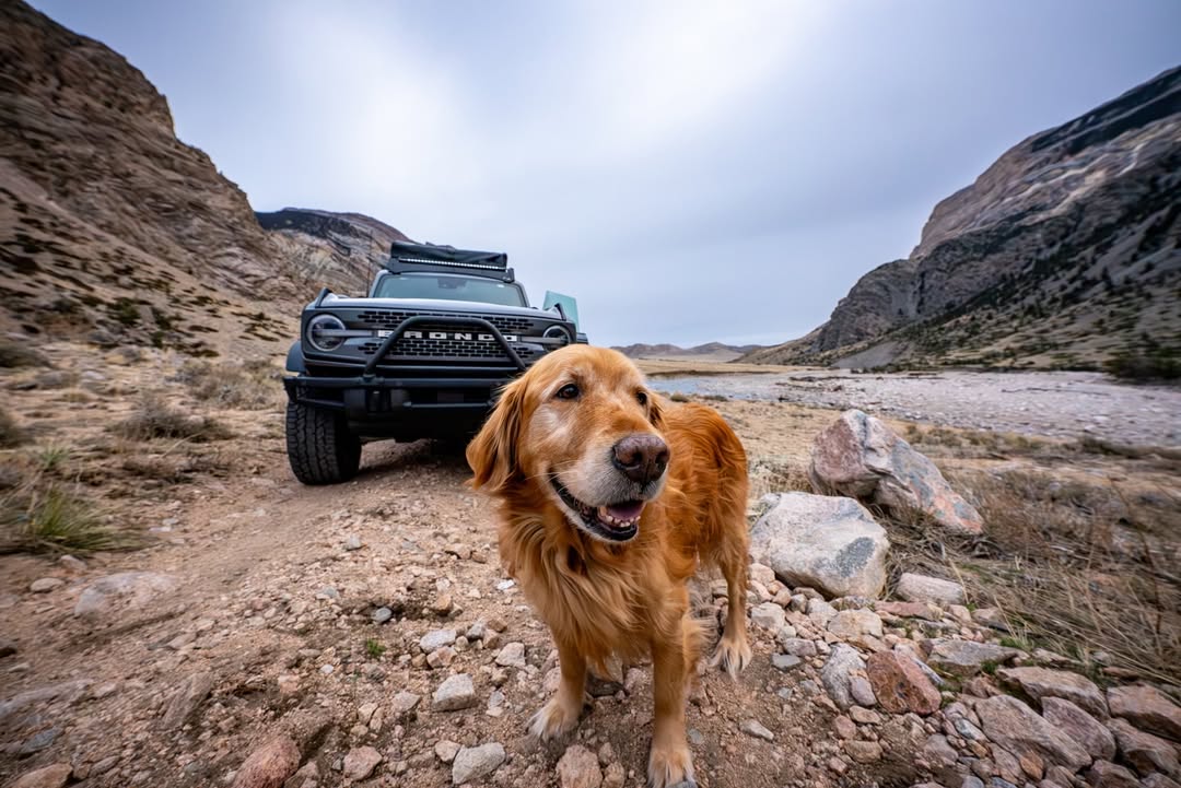 Instagram post by @andrew__muse for Ford Bronco. Caption reads: [...] these backcountry days for anything.....