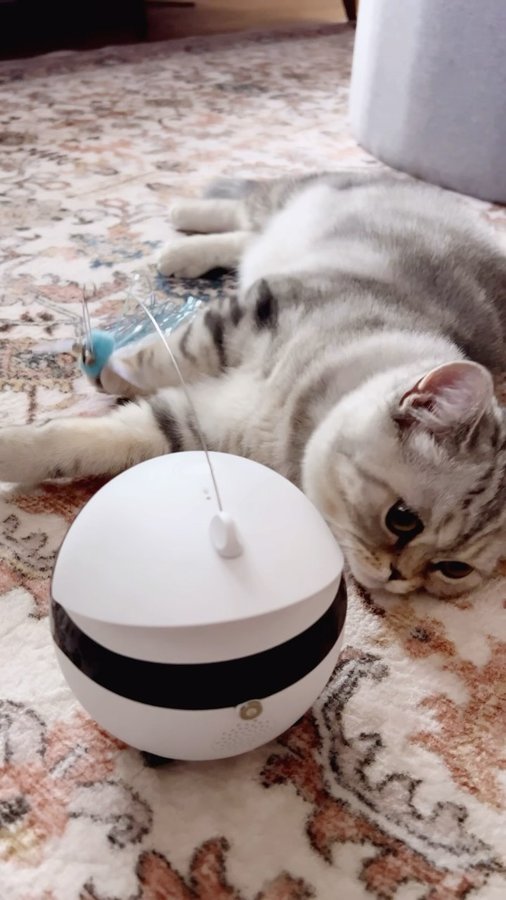 Instagram post by @momlifeglow_ for Enabot. Caption reads: [...] on Pars has never been easier! With the....