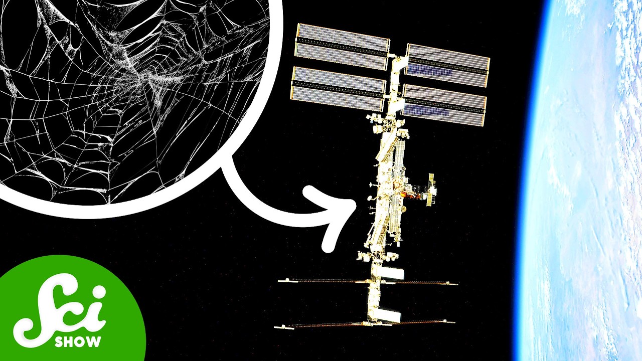 YouTube post by @SciShow for Brilliant.org. Caption reads: 5 Weird Things We Figured Out On the ISS.