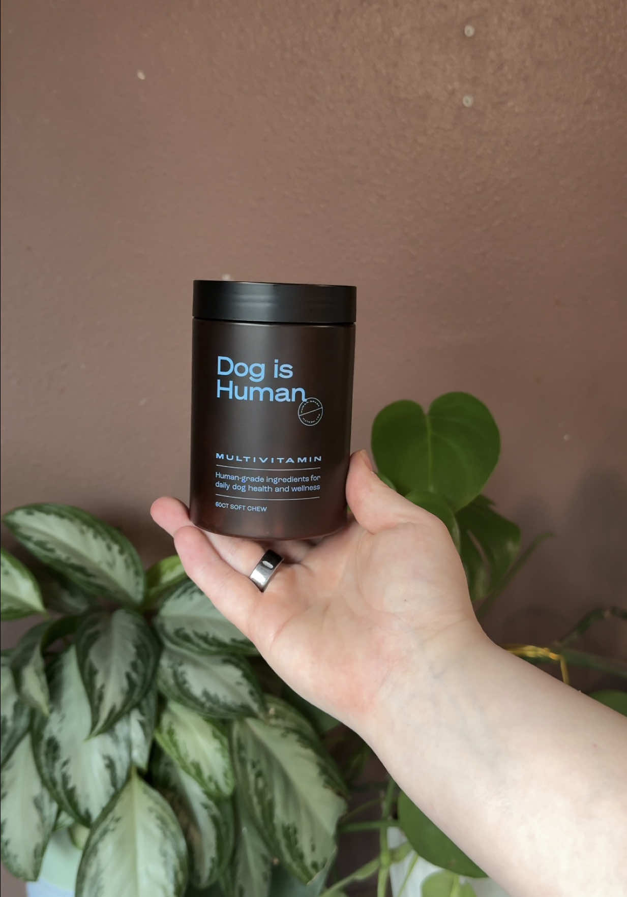 TikTok post by @annyssia for Dog is Human. Caption reads: [...] of my family. That’s why we added Dog is....
