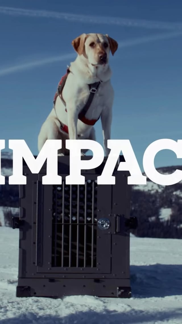 Instagram post by @schweitzer.avydogs for Impact Dog Crates. Caption reads: [...] it just makes sense to start with....