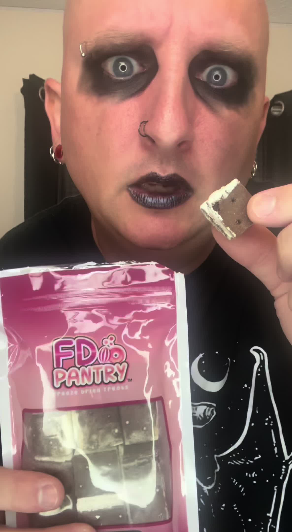 TikTok post by @the_cooking_goth for FD Pantry. Caption reads: FD Pantry Freeze Dried Ice Cream Sandwich Food....