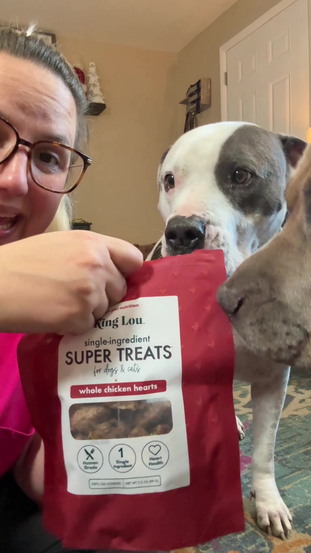 TikTok post by @jenn_and_herdogs for King Lou. Caption reads: @King Lou #petmusthave #dogmomlife #dogessentials....