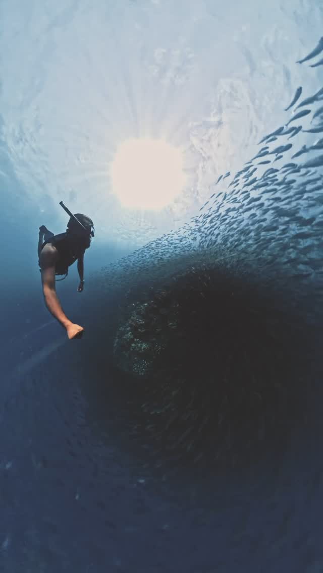 Instagram post by @ahmed_rishaan for Visit Maldives. Caption reads: “Healthy oceans, happy earth”....