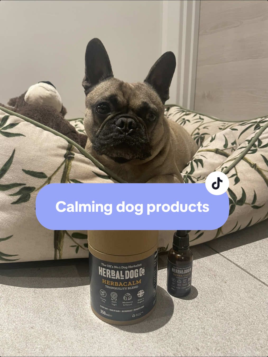 TikTok post by @rambofrenchbulldog for Herbal Dog Co. Caption reads: I use the herba calm range from @Herbal Dog....