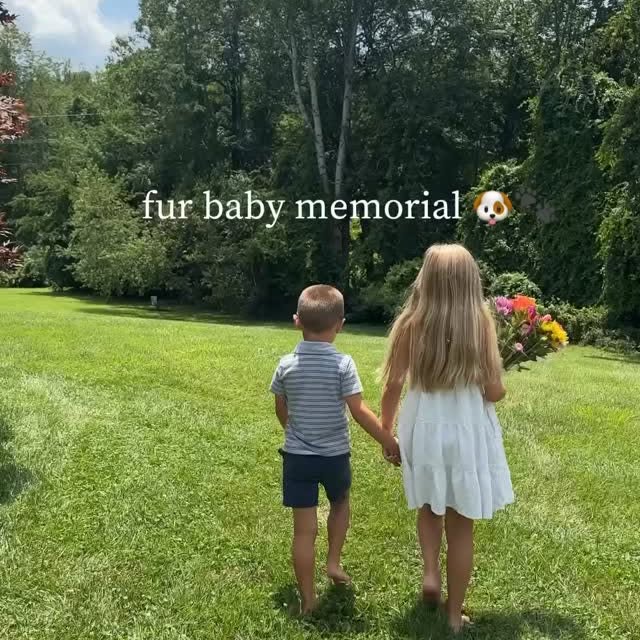 Instagram post by @bayliss.storybook for Pawfect House. Caption reads: I can’t believe it’s been a little over two years....