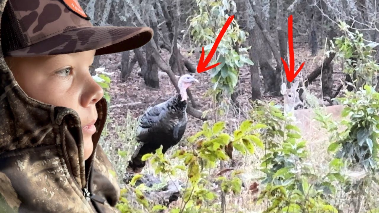 YouTube post by @ArmsFamilyHomestead for Sundays for Dogs. Caption reads: Our First Hunt of the Year Did Not Go as Planned!.