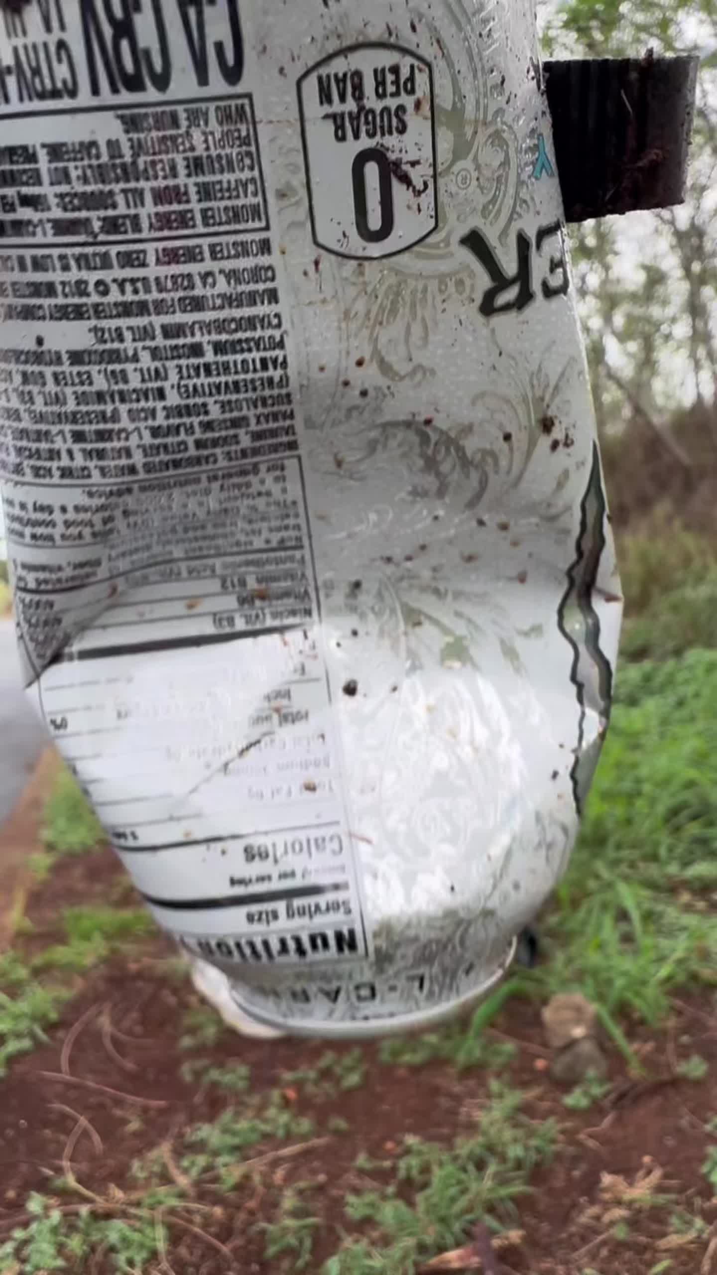 TikTok post by @trashcleanupshawaii for Fahlo. Caption reads: Check out @Fahlo for cool animal bracelets that....