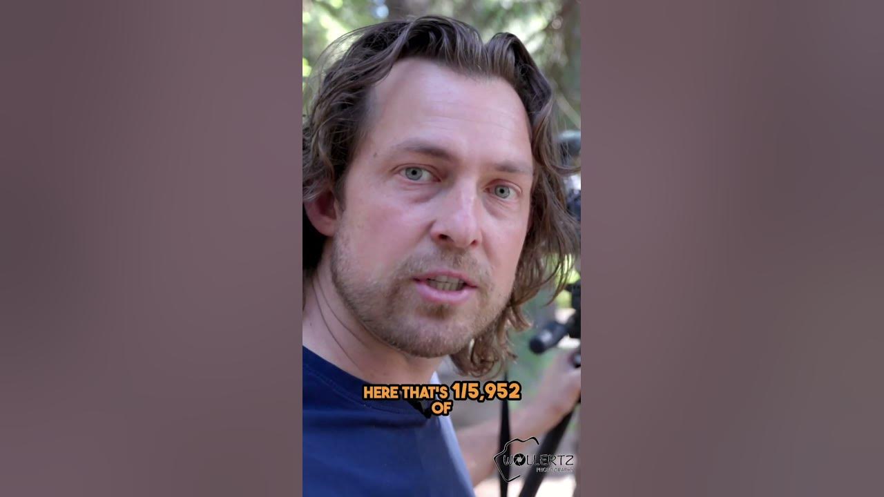 YouTube post by @wollertz for NEEWER. Caption reads: [...] off the entire store
✔︎✔︎✔︎✔︎ NEEWER Store:....