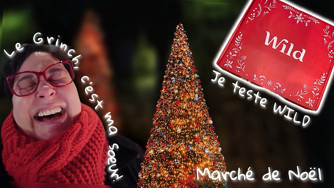 YouTube post by @aupaysdejenny for iGraal. Caption reads: ꓦ𐌋𐌏Ᏽ ✦ Rouen Christmas Market, I discover Wild,....