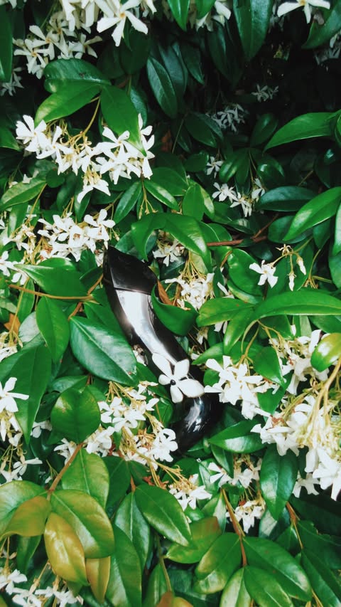 Instagram post by @kkaterinneheer for CAROLINA HERRERA. Caption reads: [...] new Good Girl Jasmine Absolute by....