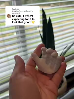 TikTok post by @amber_janaym for Luna Bean. Caption reads: Replying to @LifeWithTheLewisFamily The Luna bean....