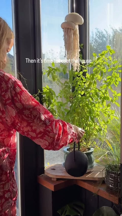 Instagram post by @shelleycarline_design for Spotlight Oral Care. Caption reads: ad| starting the day right with....