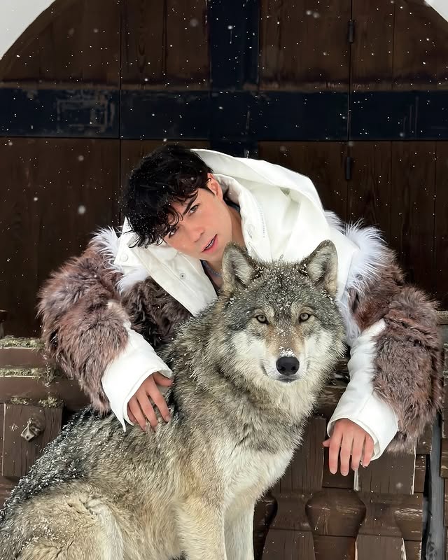 Instagram post by @benjikrol for Diesel. Caption reads: Furry.