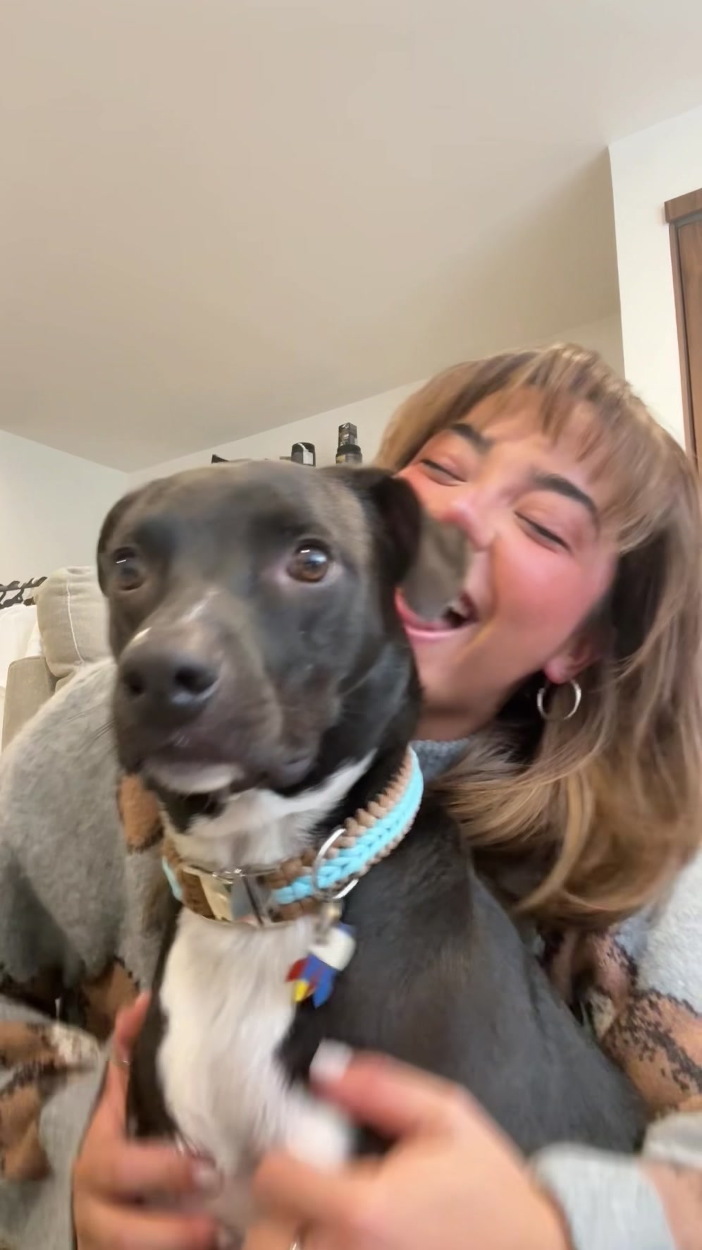 TikTok post by @paleyvaa for Petco. Caption reads: viva @Petco 🥳 💊.