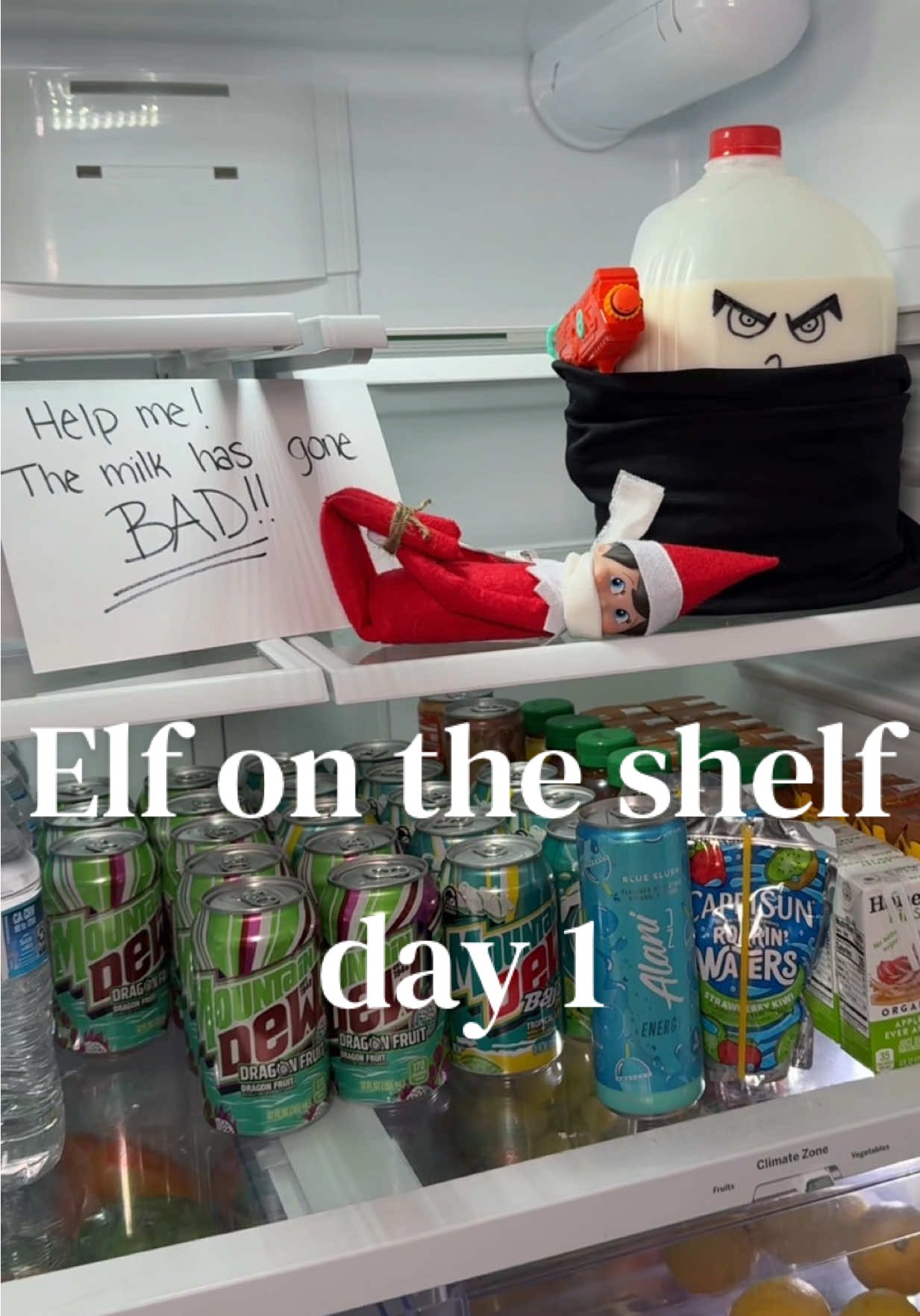 TikTok post by @shop.with.naomi for The Elf on the Shelf. Caption reads: @The Elf on the Shelf day 1 #elfontheshelf [...].