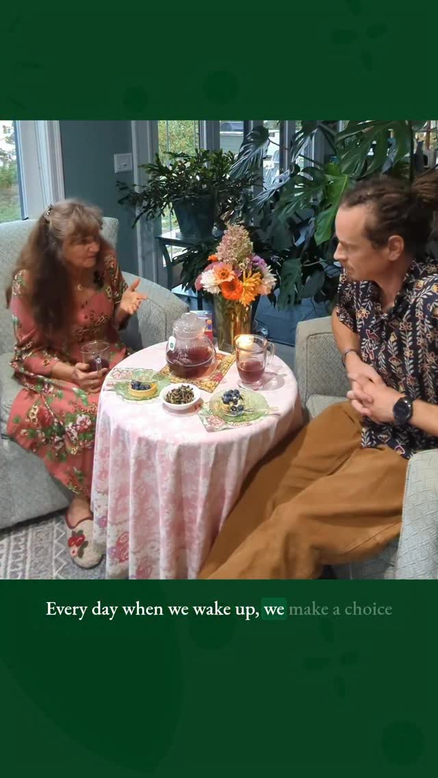 Instagram post by @rosemarygladstar for Traditional Medicinals. Caption reads: [...] #plants4thepeople #rosymood....