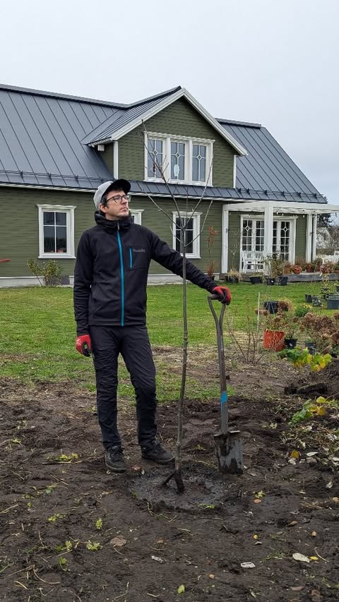 Instagram post by @grow.green.home for GARDENA Latvia. Caption reads: Quercus rubra 🤎 Sarkanais ozols Labākais laiks....