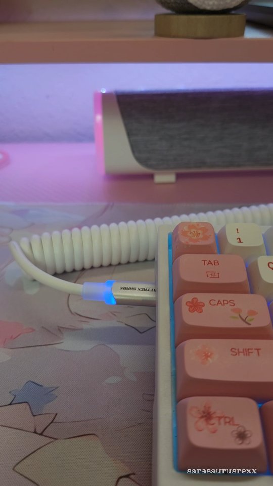 Instagram post by @sarasaurusrexx5 for Attack Shark. Caption reads: [...] cuties 💗
Today I'm teaming up with Attack....