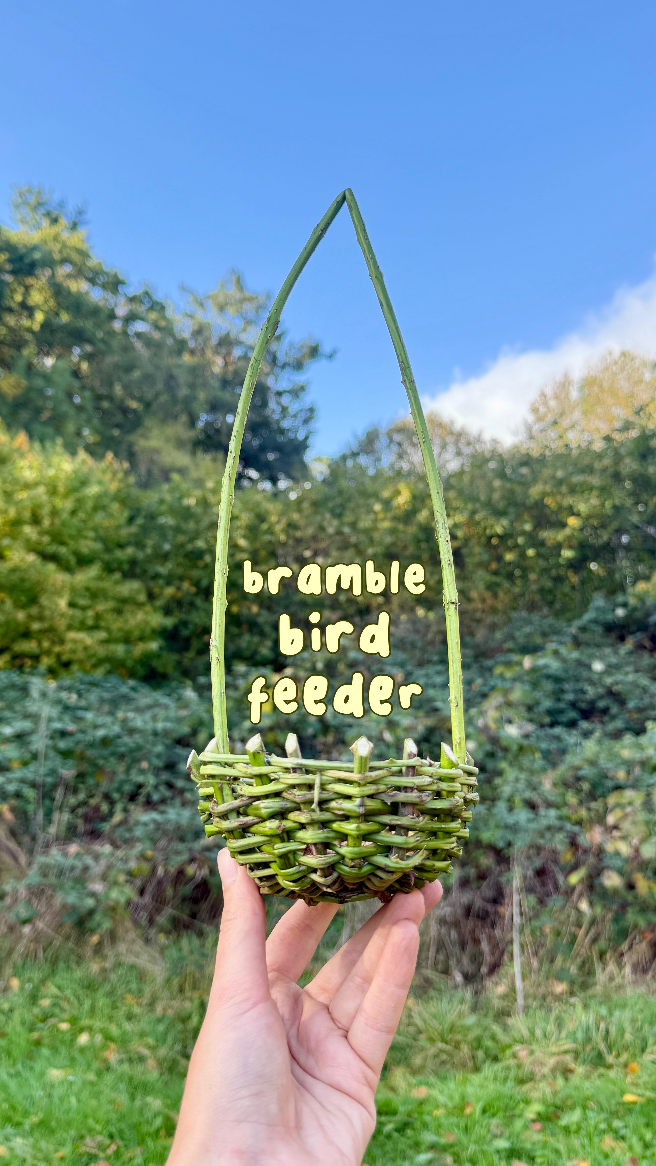 Instagram post by @foraged.by.fern for Birdfy. Caption reads: [...] since I set it up! 😅 So thank you....