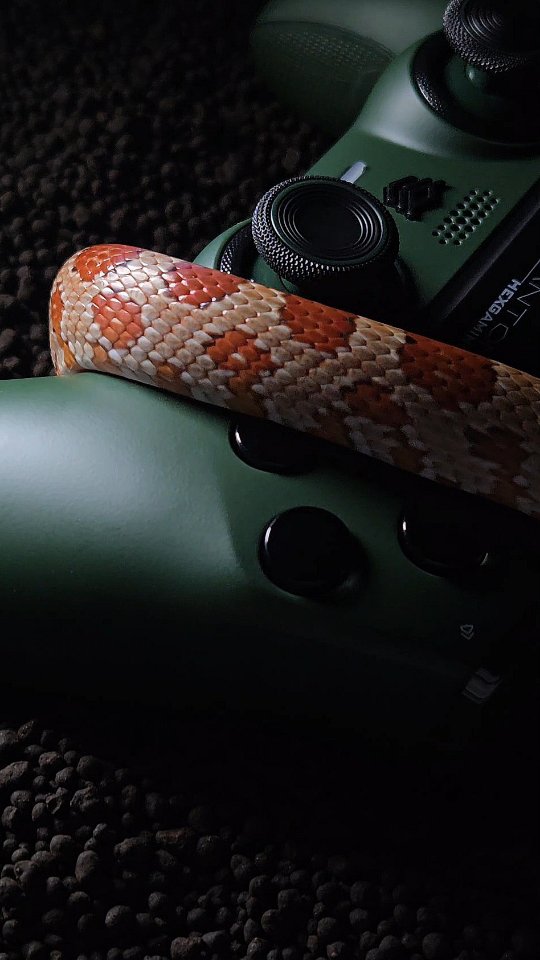 Instagram post by @whiteliongames for HexGaming. Caption reads: Snake? Snake?! Controller! 🐍 What's been your....