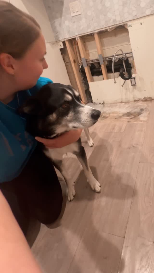 Instagram post by @kotaspen for MYOS Pet. Caption reads: We are officially a kitchen-less household right....