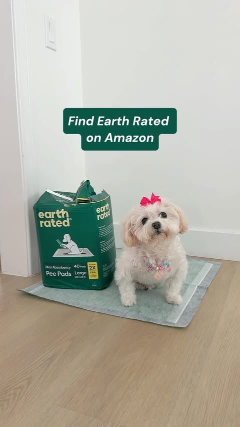Instagram post by @babblinbarb for Earth Rated. Caption reads: [...] about pee pads 😂🐾 Thankfully @earthrated....