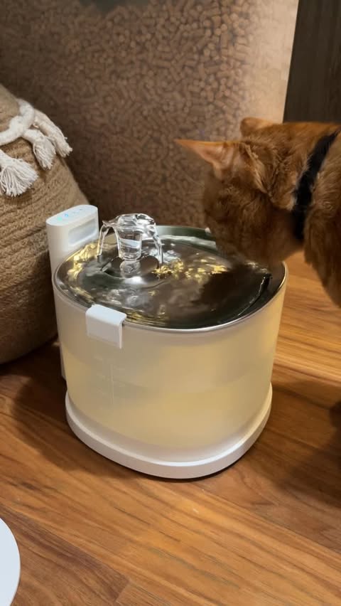 Instagram post by @mamaruppert for Cheerble. Caption reads: Goodbye traditional water bowl, hello....