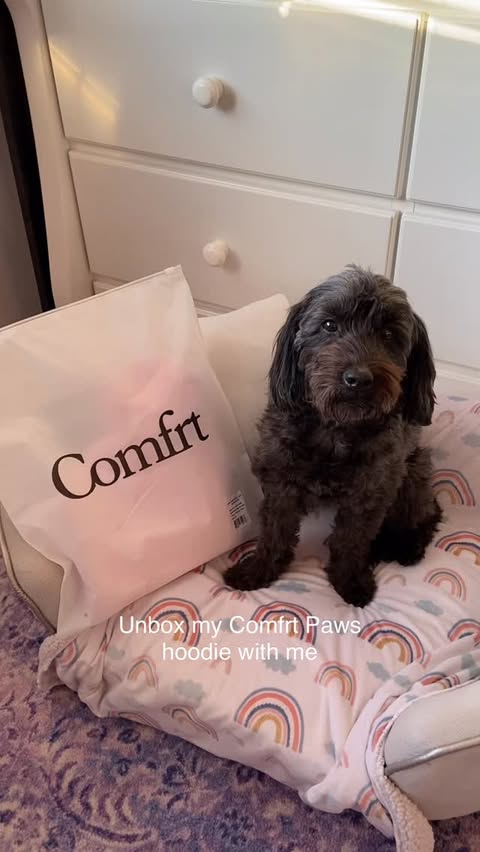 Instagram post by @millie_the_mini_doodle for Comfrt. Caption reads: [...] for a discount! Millie loves her first....