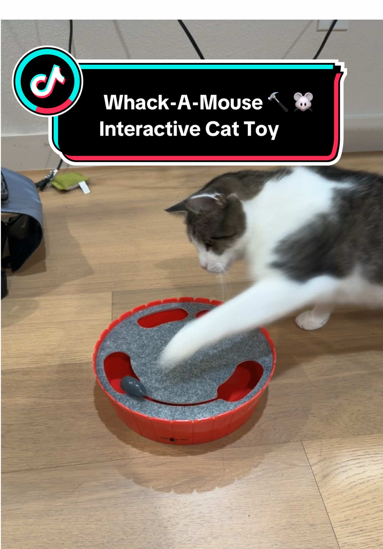 TikTok post by @maxchilloutbruh for Pawaboo. Caption reads: [...] #fyp #tiktok #catsoftiktok @pawabooofficial.