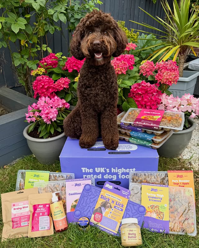 Instagram post by @rootheaussielabradoodle for More Years. Caption reads: Happy Foodie Friday and a very happy @yearsuk....