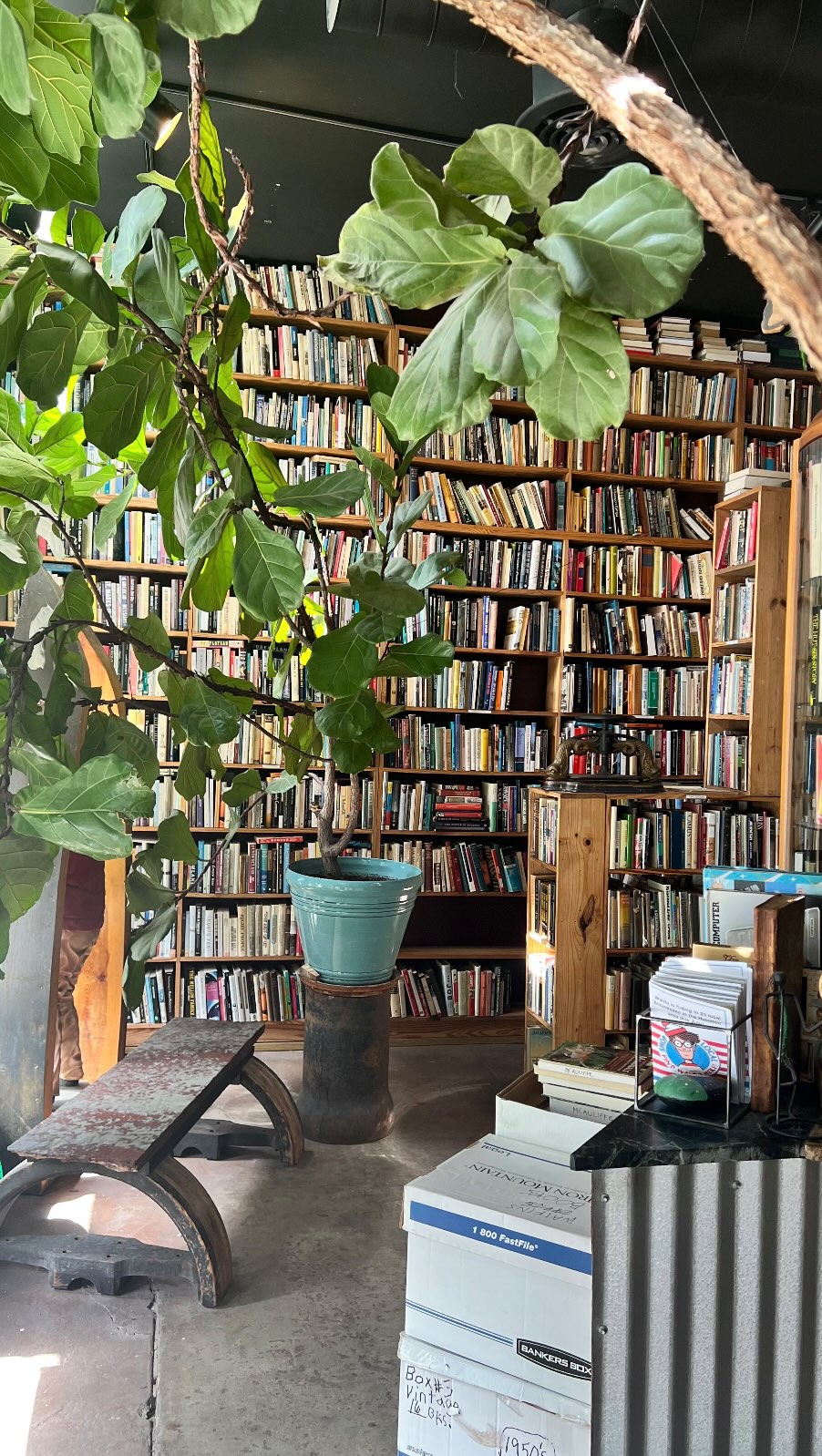 Instagram post by @nataxtrada for Pacifica Beauty. Caption reads: perfect winter skin with @pacificabeauty ❄️....