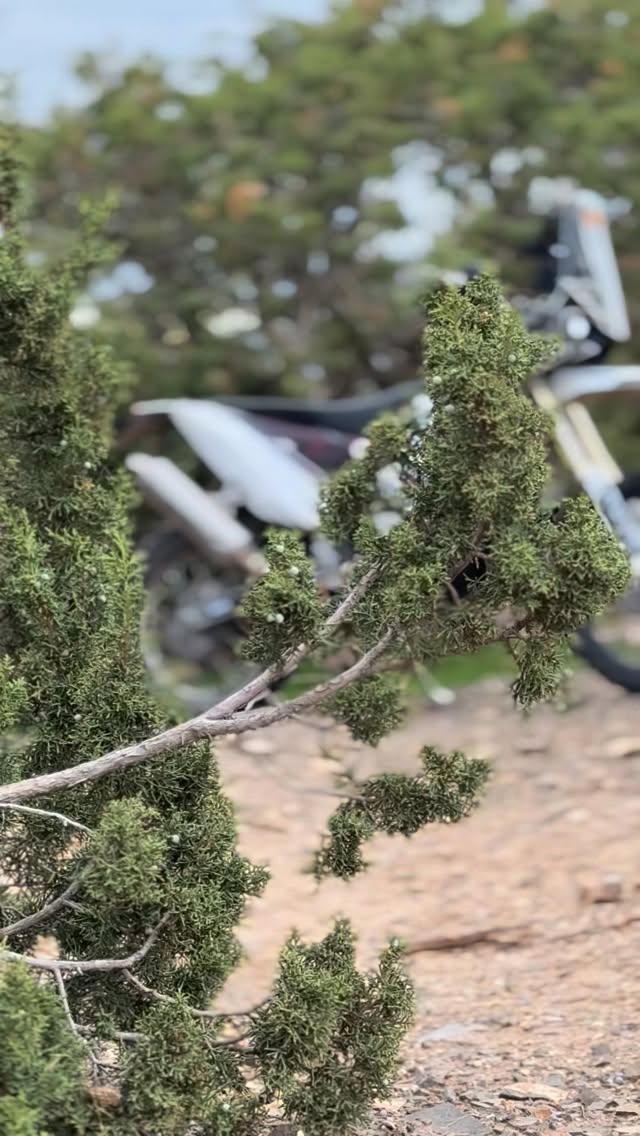 Instagram post by @rally_russ for Outback Motortek. Caption reads: I would die for it💀 
•
•
•
#rallybikes #koverally....