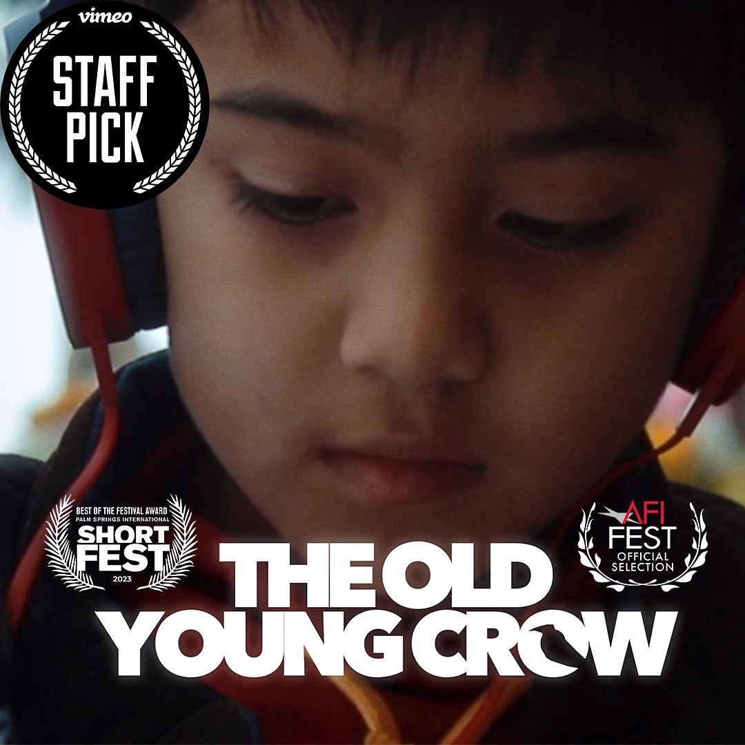 Instagram post by @arianmoayed for Vimeo. Caption reads: [...] Young Crow is now available to stream on....