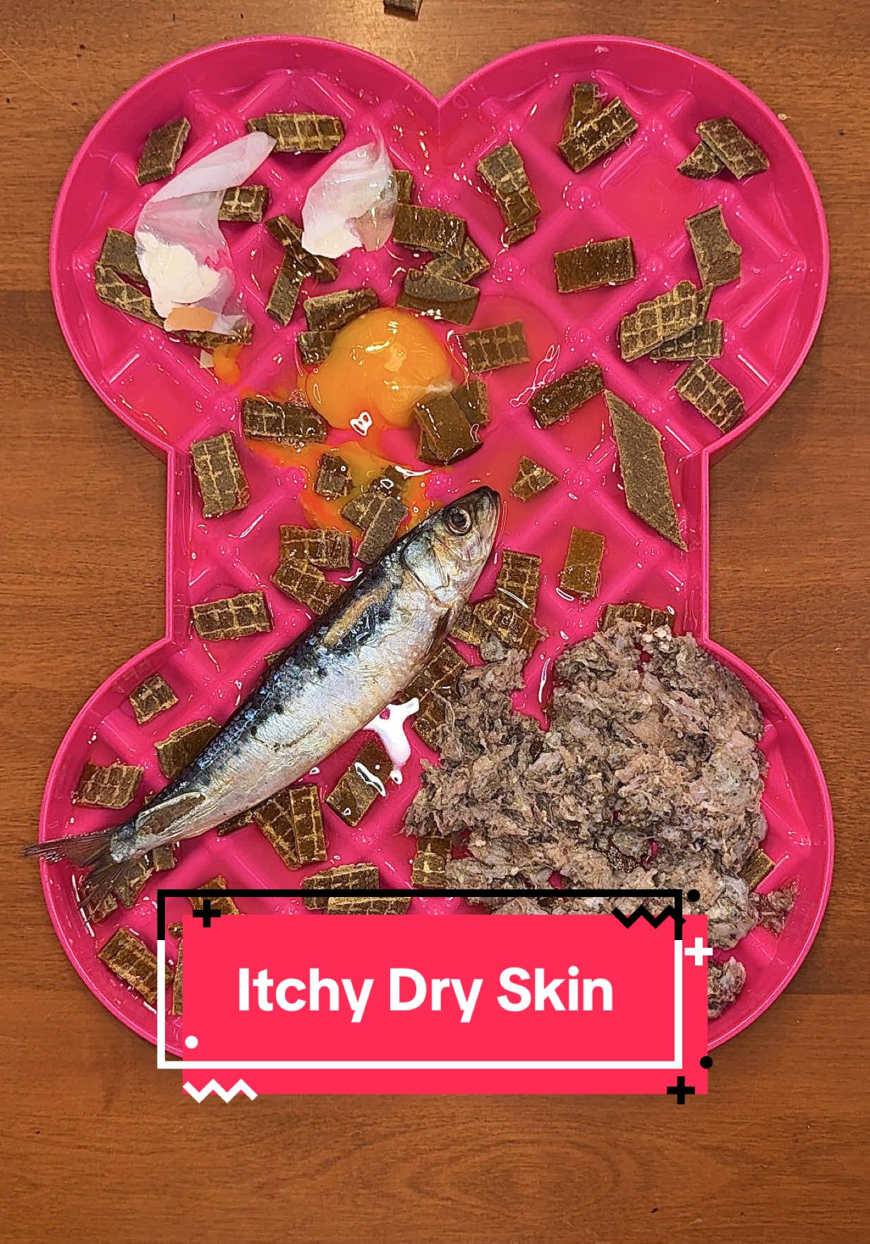 TikTok post by @kaylakowalskinutrition for Oma's Pride. Caption reads: [...] #dogmom #dogfood @Oma’s Pride....