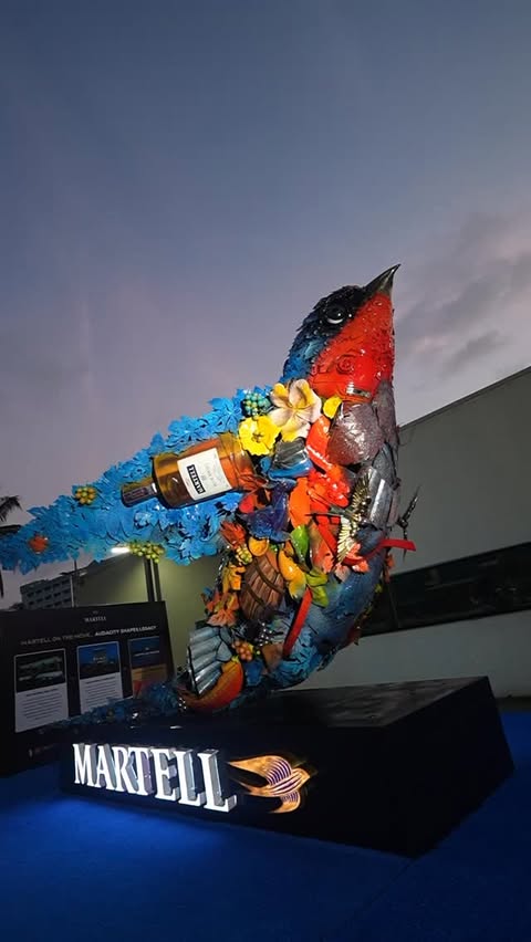 Instagram post by @enjoy.ng for Martell. Caption reads: Highlights of @martellnigeria, Martell On The Move....