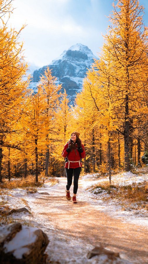 Instagram post by @reneeroaming for Expedia. Caption reads: [...] Brb booking all my 2026 travel! This is....