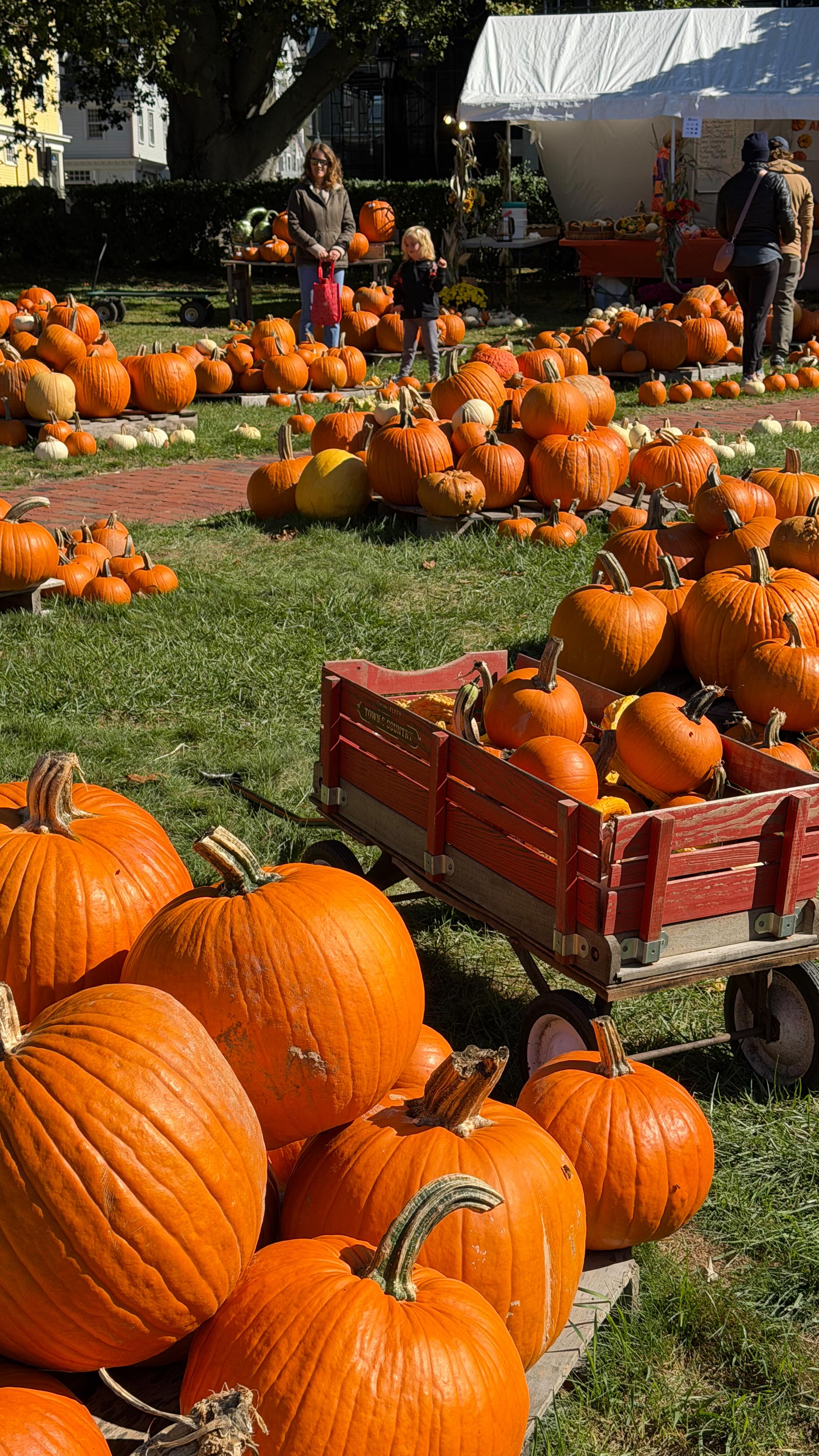 Instagram post by @sally_carden for Saint James Iced Tea. Caption reads: DIML of my favorite treat 🍑🍑 @saintjamesicedtea....