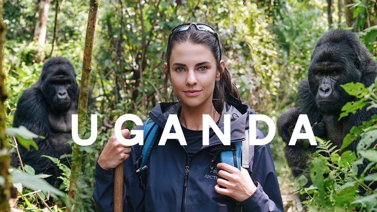 YouTube post by @ElenaTaber for Intrepid Travel. Caption reads: I travelled across the world to find WILD gorillas....