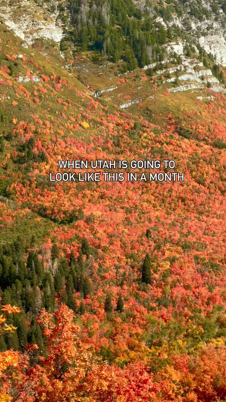 Instagram post by @milehighfoodfairy for Visit Utah. Caption reads: 🍂 Send this to someone you want to go on a fall....