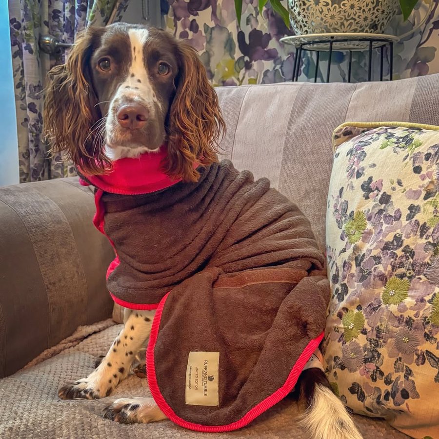 Instagram post by @ernieandco_ for Ruff and Tumble. Caption reads: [...] getting warm and snuggly in your....